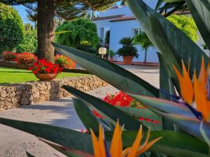 einen Garten mit Blumen und Pflanzen vor einem Haus in der Unterkunft Arenosu Comfort Country Resort in Fertilia