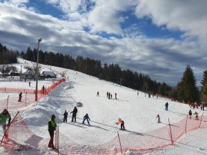 eine Gruppe von Personen, die auf einer schneebedeckten Piste Ski fahren in der Unterkunft Apartman NEDA Zlatar in Nova Varoš