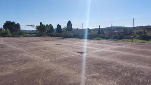 Fotografia z galérie ubytovania Le vieux tilleul v destinácii Cavillargues