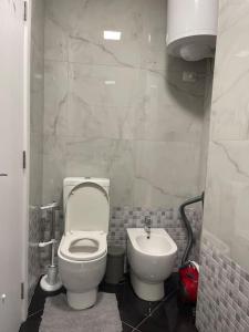 ein Bad mit einem WC und einem Waschbecken in der Unterkunft Modern Apartment at Train Station in Tirana