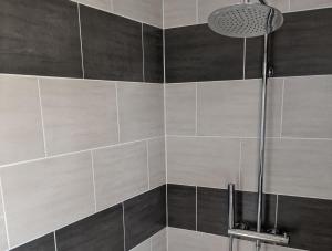 uma casa de banho com um chuveiro com azulejos cinzentos e brancos em Domaine de Fleurie em Tursac