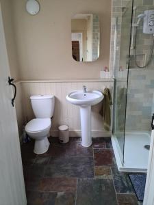 y baño con aseo, lavabo y ducha. en Gorgeous 2 bedroom Kintbury cottage, en Kintbury