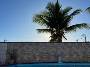 eine Palme hinter einer Ziegelmauer mit einer Palme in der Unterkunft Nosso Repouso Saquarema - Casa inteira com Piscina,churrasqueira privativos, Wi-fi,900m da praia, Tv-Smart. in Saquarema