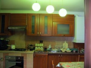 ブラショヴにあるCasa Regalのキッチン(木製キャビネット、カウンタートップ付)