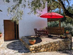 Κήπος έξω από το Casa Canela apartment and pool.