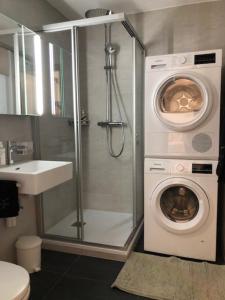 南達的住宿－Plein coeur de Nendaz，一间带洗衣机和洗衣机的浴室