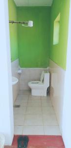 a green bathroom with a toilet and a sink at Sonofjohnhomestay in Karatu