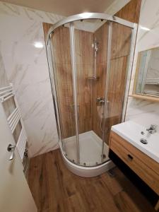W łazience znajduje się prysznic i umywalka. w obiekcie Apartman Stefany w mieście Varaždin