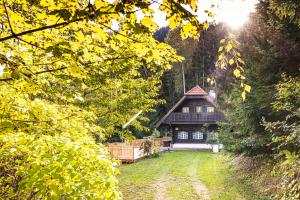a house in the middle of a yard with trees at Winzerhaus am Schöckl in Semriach