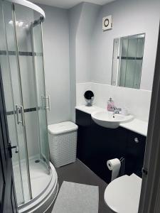 a bathroom with a shower and a toilet and a sink at Cosy studio flat in Montrose