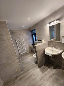 uma casa de banho com um lavatório, um WC e um espelho. em Hôtel Francorchamps Pitlane Lodge em Francorchamps