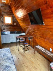 a living room with a tv on a wooden wall at Pousada Haras Fazenda Jamaica in Mairinque