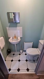 La salle de bains est pourvue d'un lavabo et de toilettes. dans l'établissement The Farrier's by Spires Accommodation A convenient place to stay for exploring Cannock Chase, à Hednesford