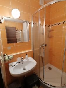 een badkamer met een wastafel en een douche bij Apartmány a štúdiá Kamzík Donovaly in Donovaly