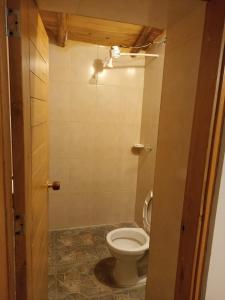 een kleine badkamer met een toilet in een kamer bij Cabaña Eliseo Guachato Villa Rosita in Tota
