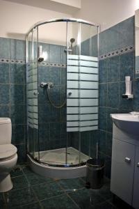ein Bad mit einer Dusche, einem WC und einem Waschbecken in der Unterkunft Vila Camino in Satu Mare