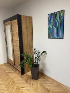 a room with a wooden door and a potted plant at Dom w Nowym Sączu przy Miasteczku Galicyjskim in Nowy Sącz