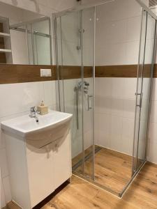 a bathroom with a shower and a sink at Dom w Nowym Sączu przy Miasteczku Galicyjskim in Nowy Sącz