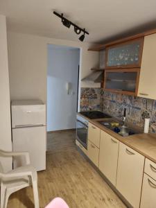 Kuchyň nebo kuchyňský kout v ubytování Studio Apartman Bojana 34m2,free wifi,parking