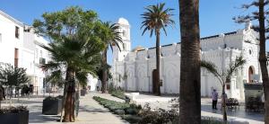 a white building with palm trees in front of it at Andalusian patio villa 12 pax with private pool in Conil de la Frontera