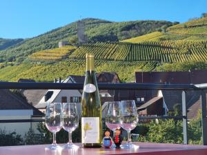 Gallery image of Gites Les Terrasses du Wineck in Katzenthal