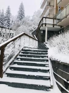 EM Livigno v zime