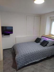 a bedroom with a bed and a flat screen tv at *** STUDIO 39 *** in Morbier