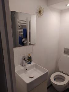 La salle de bains est pourvue d'un lavabo blanc et de toilettes. dans l'établissement *** STUDIO 39 ***, à Morbier