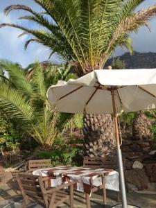 A garden outside Casa Colonia