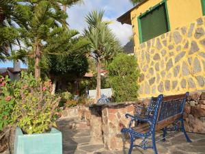 A garden outside Casa Colonia