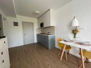 Kuchyň nebo kuchyňský kout v ubytování APARTMÁNY ŠÁRKA