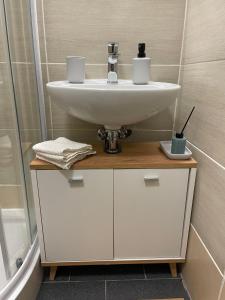 bagno con lavandino e doccia di Apartmán - Dovolená Žacléř a Žacléř