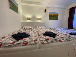 2 camas en un dormitorio con 2 almohadas en Apartmán - Dovolená Žacléř, en Žacléř