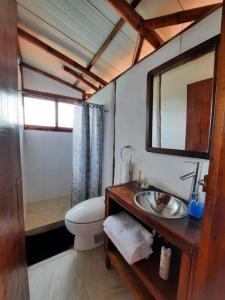 een badkamer met een wastafel, een toilet en een spiegel bij Hospedaje CLUB CEAN a orilla del Lago Calima in Club Las Anonimos