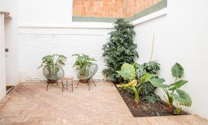 Vonkajšia záhrada v ubytovaní Patio del Lino