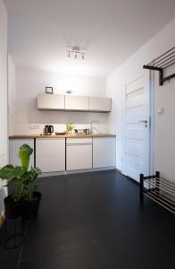 Kuchyňa alebo kuchynka v ubytovaní Halna Residence