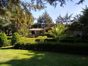 una casa con un jardín con arbustos y árboles en Refugio de los Angeles, en Huasca de Ocampo