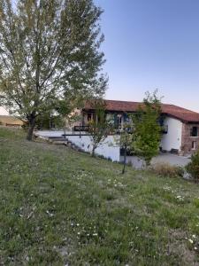 Zahrada ubytování Rosatea B&B