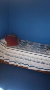 Dormitorio azul con cama con almohada roja en Casa Norma santiago 8 personas en Santiago