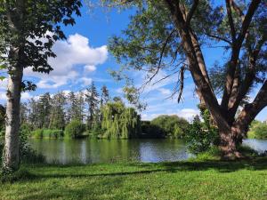 widok na jezioro z drzewami i trawą w obiekcie Studio Spa Vanadis LE BALNEO w mieście Pacy-sur-Eure