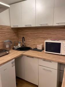 eine Küche mit einer Spüle und einer Mikrowelle auf der Theke in der Unterkunft Mały apartament z kuchnią i łazienką in Stettin