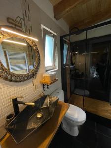 a bathroom with a sink and a toilet and a mirror at Mon Resort by Ana1St in Scărişoara