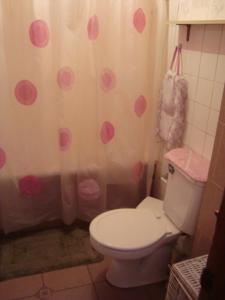 a bathroom with a toilet and a shower curtain at casa norma santiago 5 personas in Santiago