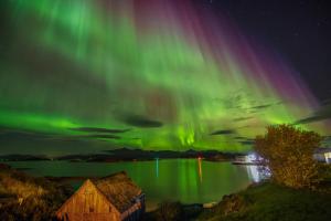 una aurora en el cielo sobre un cuerpo de agua en Cozy apartment by the sea, en Tromsø