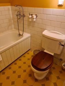 a bathroom with a toilet with a wooden toilet seat at Lahe Guesthouse in Haapsalu +25 photos