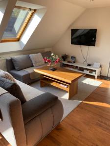 Televízia a/alebo spoločenská miestnosť v ubytovaní Apartmán Beruška