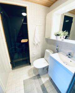 a bathroom with a toilet and a sink and a shower at Levi Moonlight 214 in Kittilä