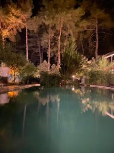 una piscina de agua por la noche con árboles en el fondo en Olympos Five Rooms Apart no 3, en Yazır