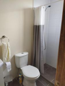 a bathroom with a toilet and a shower at Container home in Santa Teresa de Lo Ovalle
