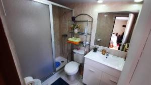 a bathroom with a shower and a toilet and a sink at Hospedaje Los Tatis in Villarrica